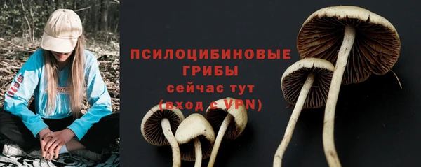 гашик Абинск