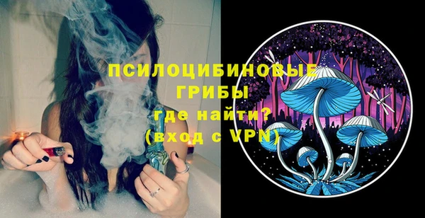 стаф Абаза