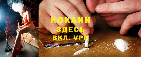 стаф Абаза
